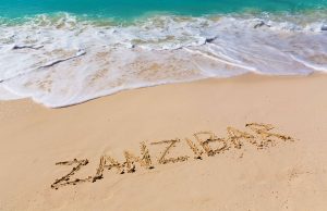 Feature Zanzibar