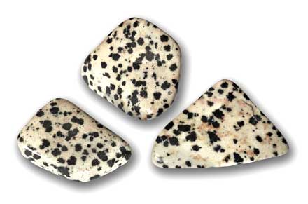 dalmatian jasper gem stones