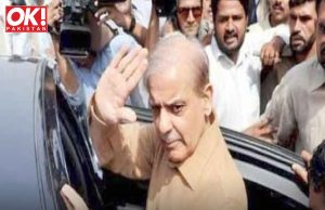 IN REGARDS TO THE ASHIANA HOUSING SCAM, NAB CLEARS PRIME MINISTER SHEHBAZ.