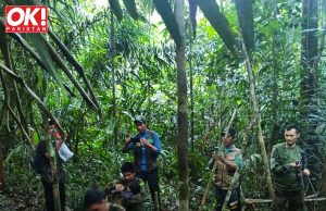 FOUR COLOMBIAN CHILDREN SURVIVE FOREST ACCIDENT WEEKS AFTER PLANE DISASTER.