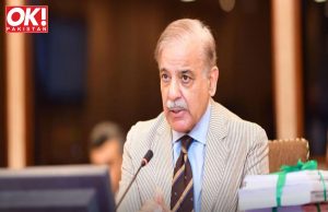 THE GOVERNMENT SALARY RISE WAS APPROVED BY THE CABINET AT A RATE OF 30%.