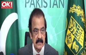 PML-N TO CONTEST ALL PUNJAB CONSTITUENCIES, SAYS SANA.