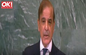SHEHBAZ PROMISES TO FIX PAKISTAN’S “REAL IMAGE” IF THE PUBLIC VOTES FOR HIM.